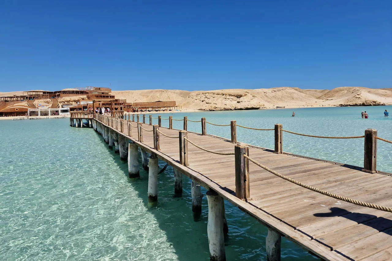 🐬 Bootsausflüge Rotes Meer – Orange Bay, Delfinschwimmen & mehr | Amara Trips