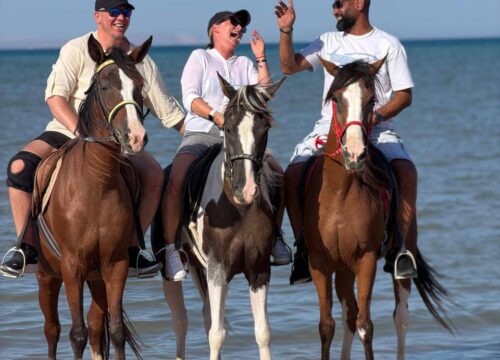 Beach Horse Riding & Swimming with Horses in the Red Sea